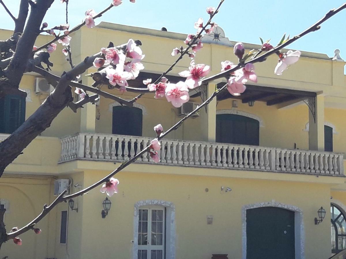 Agriturismo L' Annunziata Ліццано Екстер'єр фото