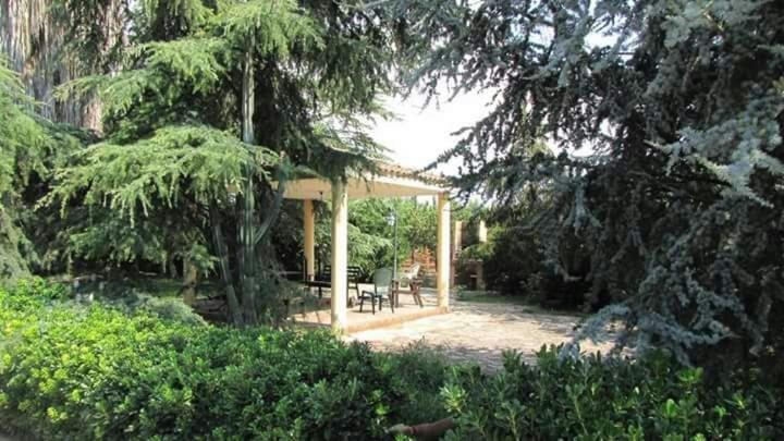 Agriturismo L' Annunziata Ліццано Екстер'єр фото